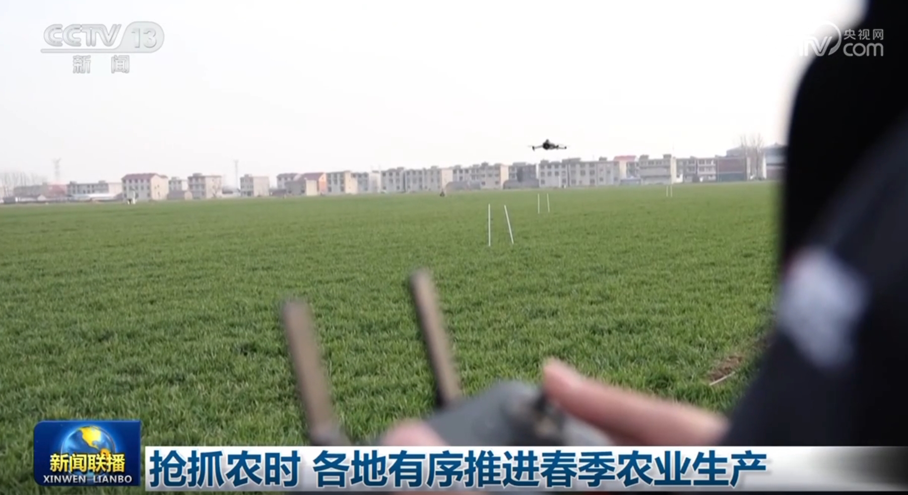 本土核心的