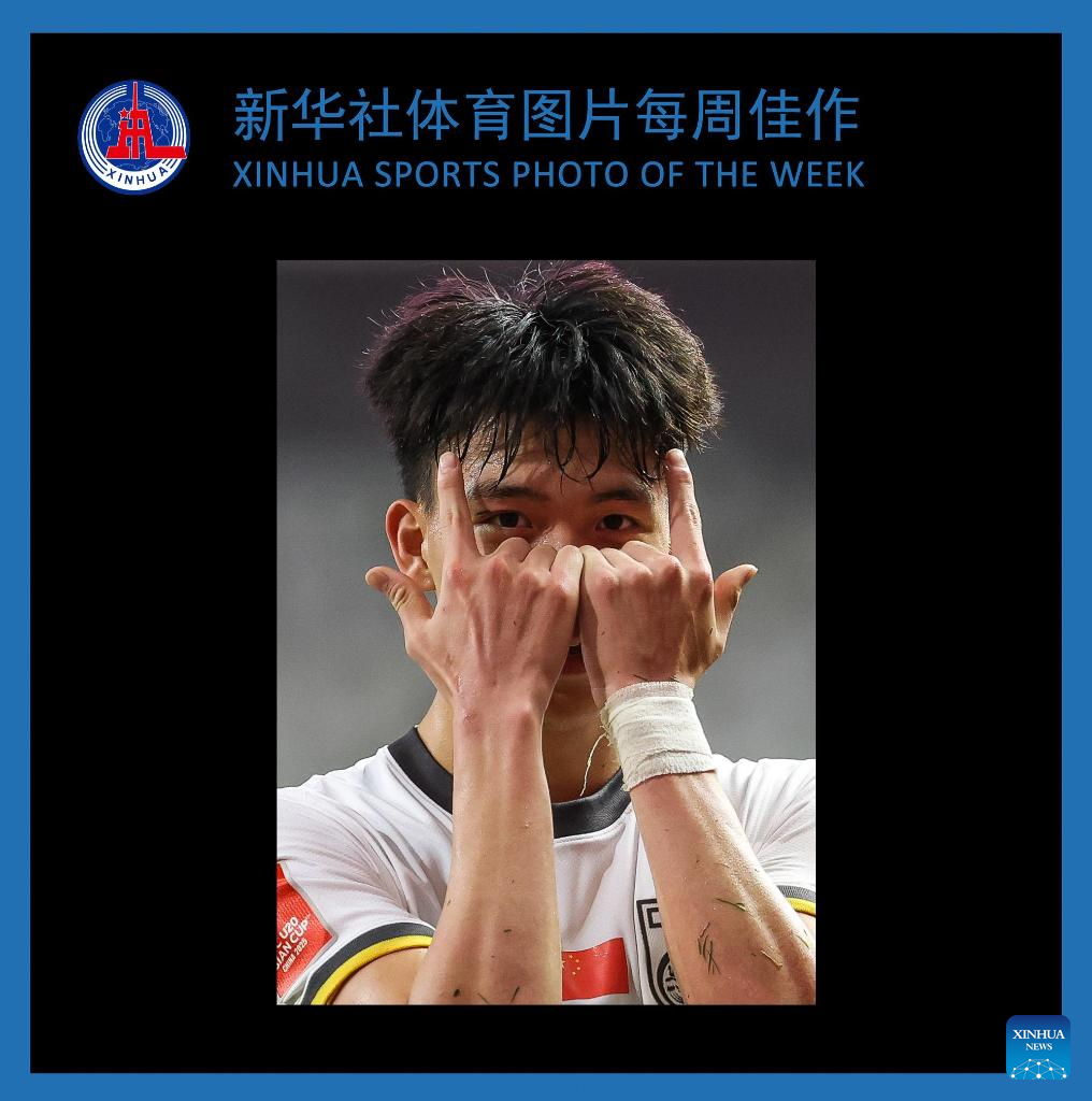 的多元化